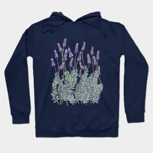 Lavender, Illustration Hoodie